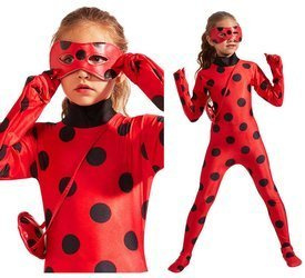 Przebranie Biedronki kostium strój