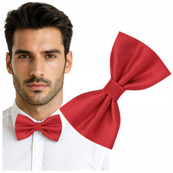 Muszka męska w drobną kratkę - czerwona