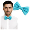 Muszka męska - niebieska
