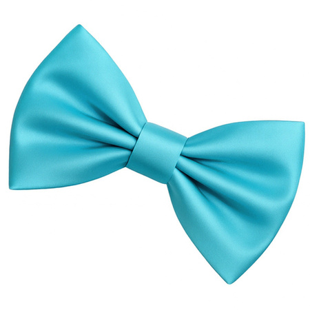 Muszka męska - niebieska