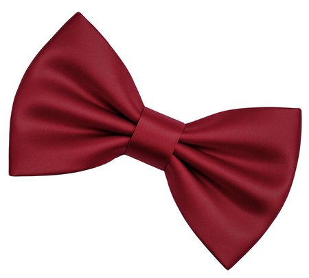 Muszka męska - bordowa